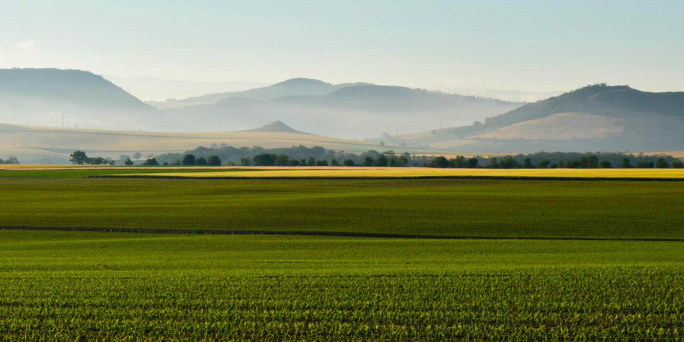 nee-en-auvergne