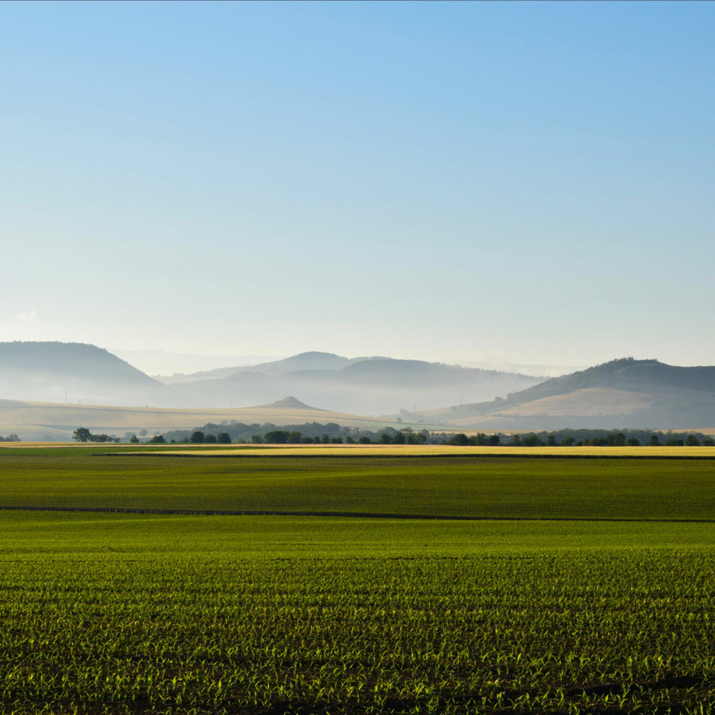 nee-en-auvergne