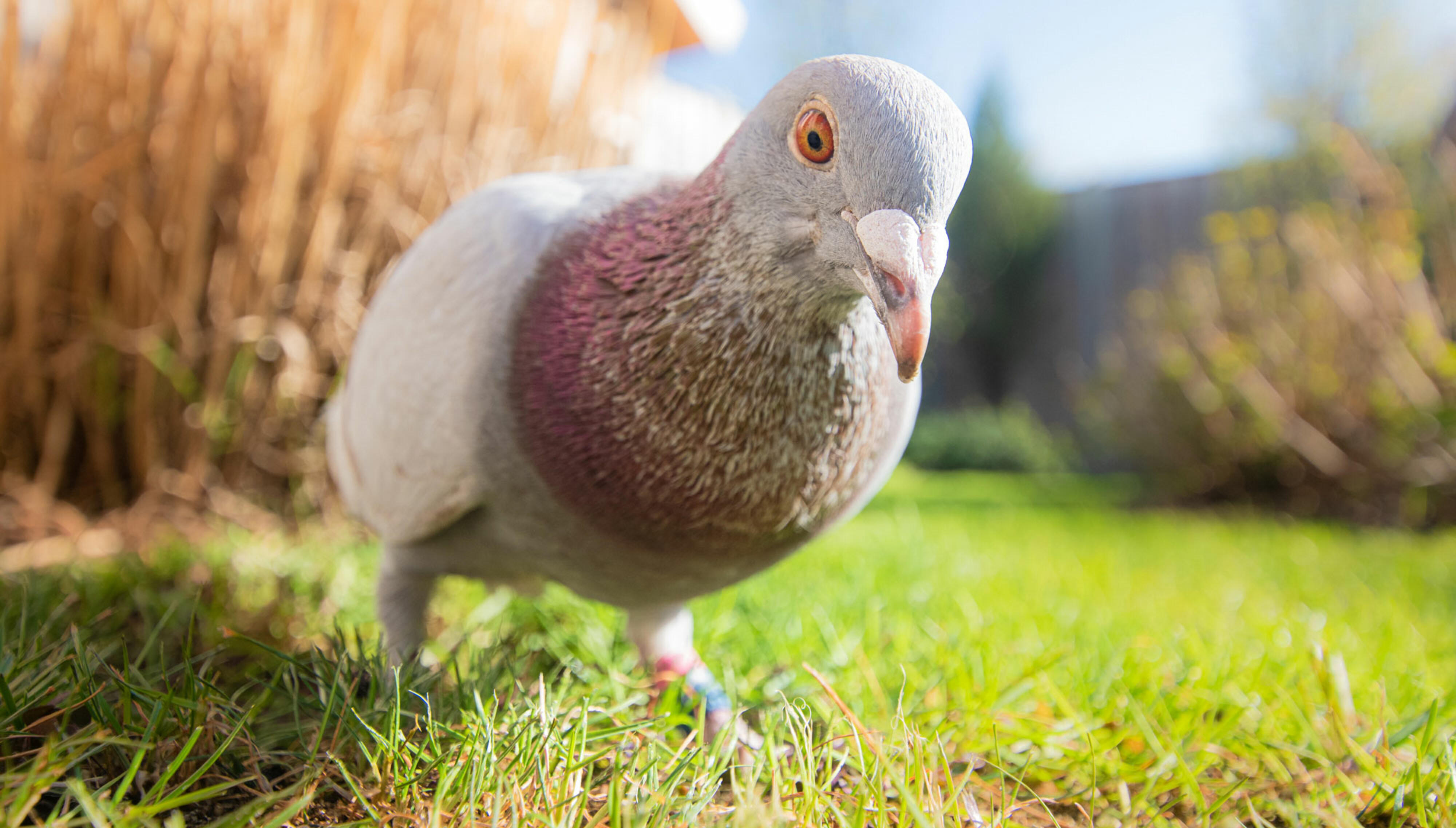 pexels-ylanite-koppens-7682434 pexels-ylanite-koppens-7682434