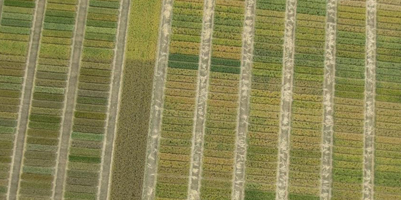 Image2-mobile Image2-mobile