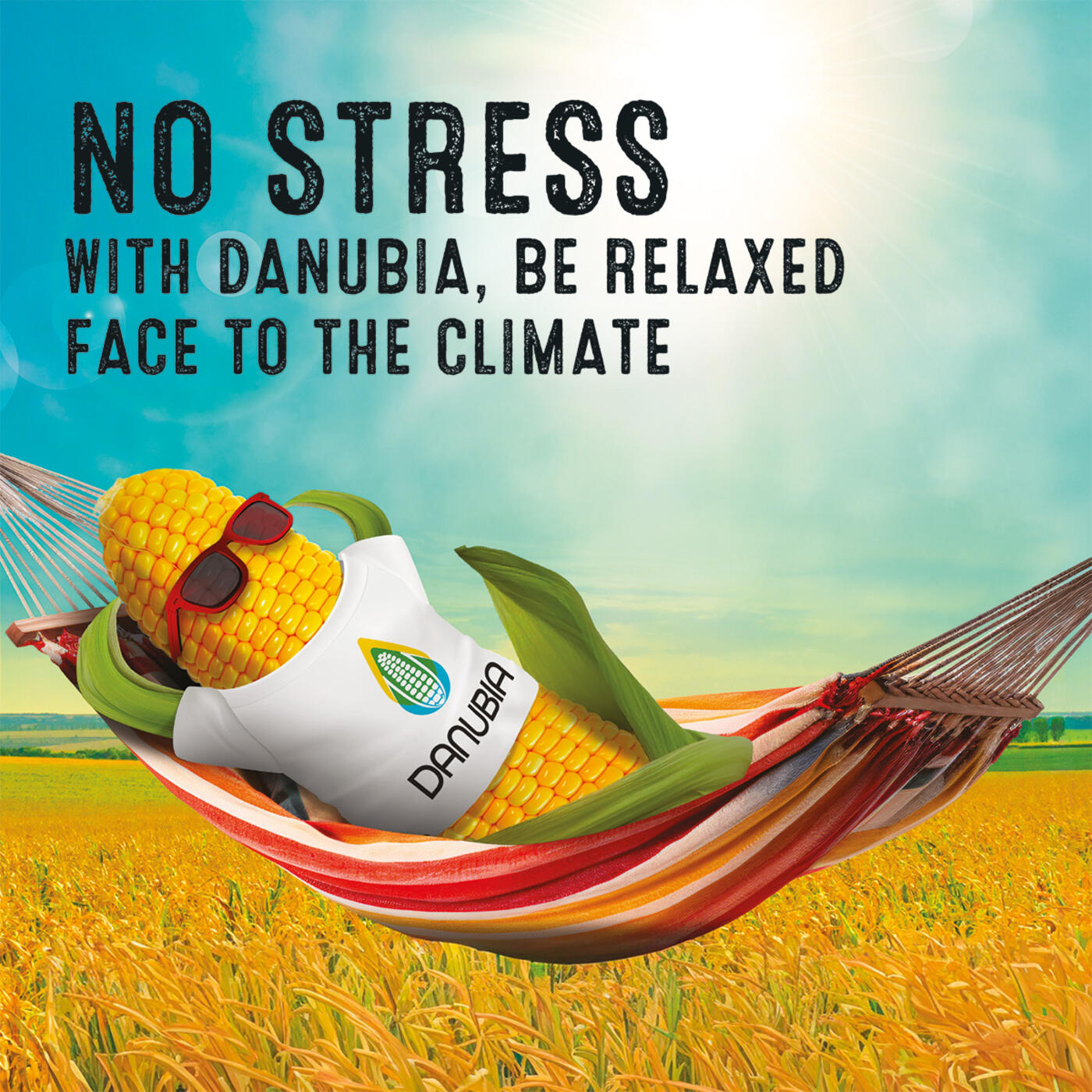 LG_campagne_mais_2024_v18_FAB-2