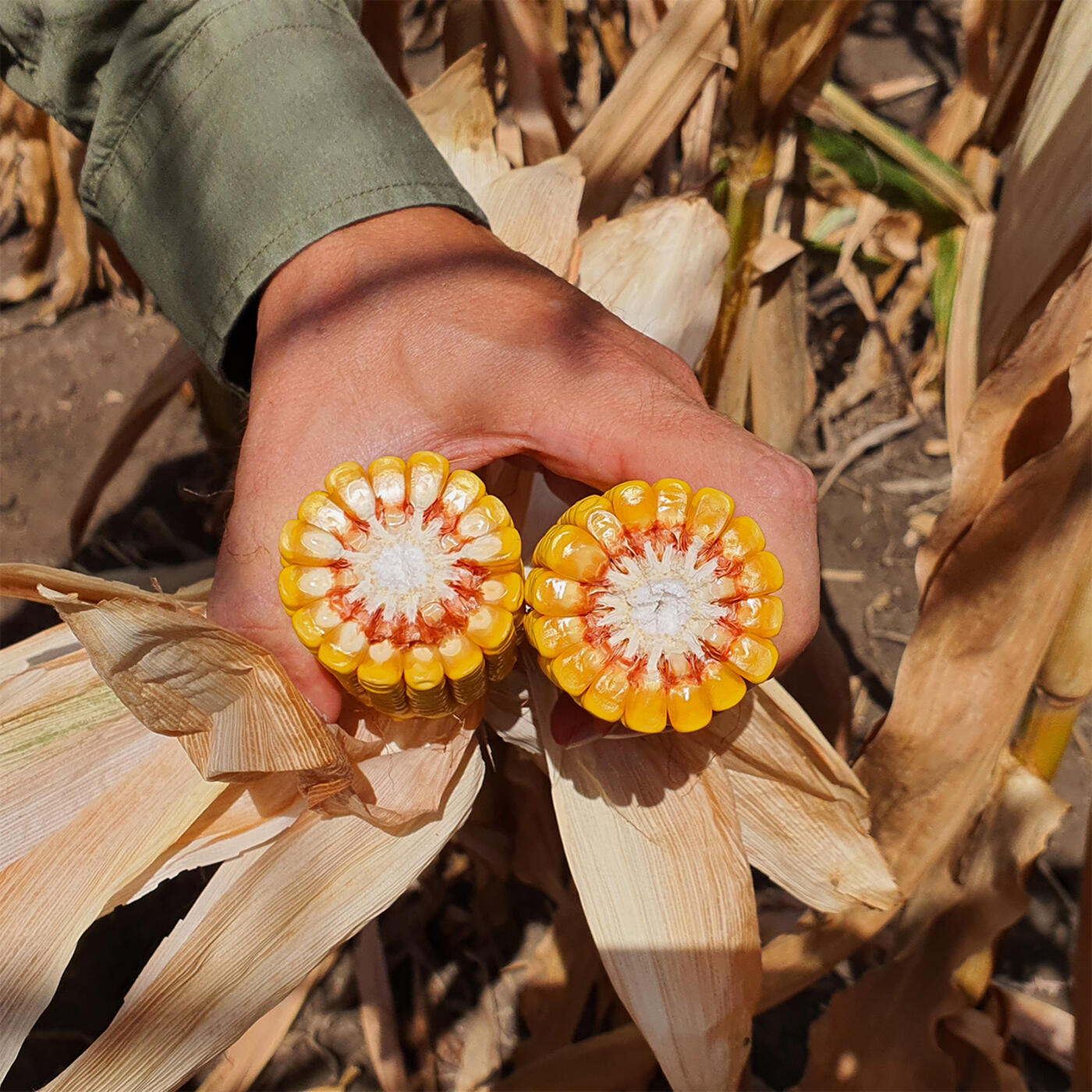 20230817_130223 20230817_130223