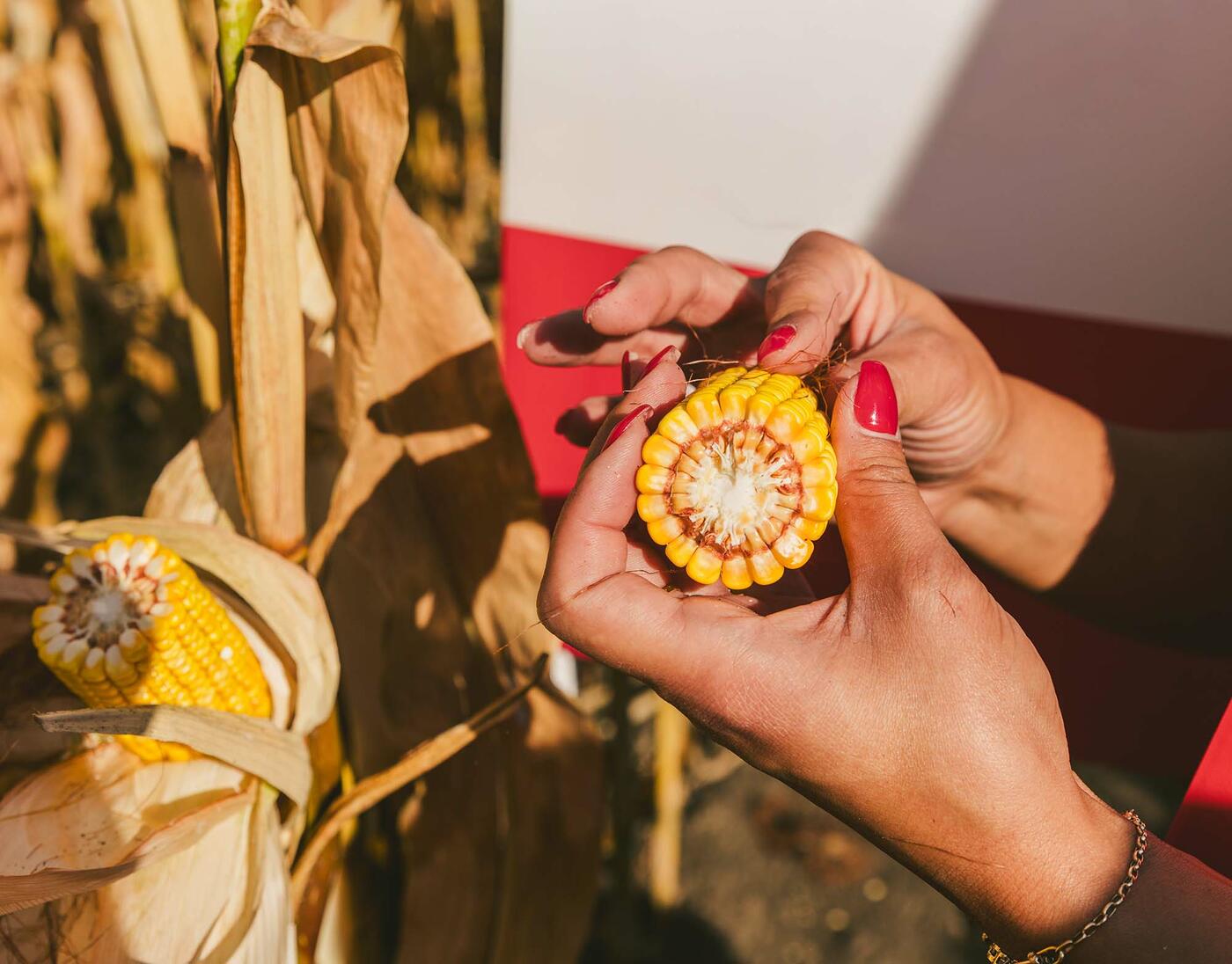 HU_MG_4938 HU_MG_4938